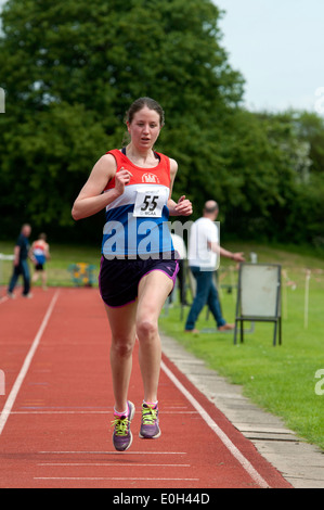 Athletics, competitor finishing women`s 3000m race at club level, UK Stock Photo
